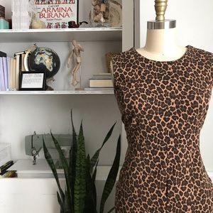 Lands End • Leopard Print Ponte Knit Sheath Dress with pockets!